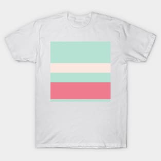 An elegant joint of Pale Chestnut, Powder Blue, Misty Rose and Carnation stripes. T-Shirt